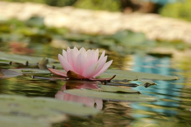 Similar image 11287258