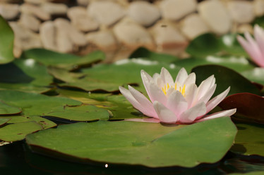 Similar image 11287260