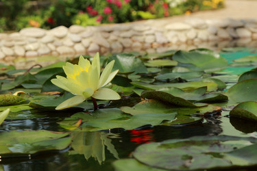 Similar image 11287278