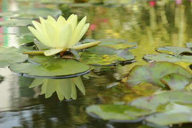 Similar image 11287280