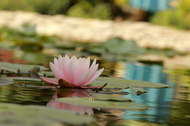 Similar image 11287282