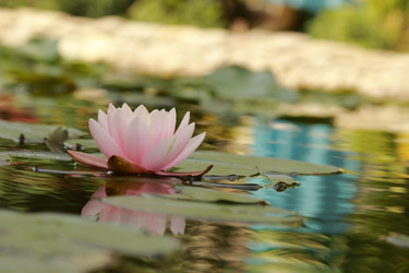 Similar image 11287286