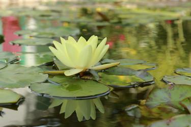 Similar image 11287337