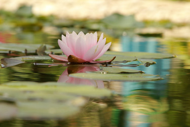 Similar image 11287338