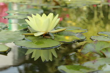 Similar image 11287339