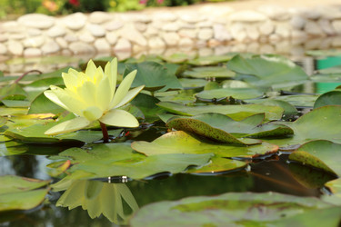 Similar image 11287340