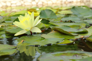 Similar image 11287341