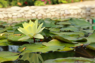 Similar image 11287402