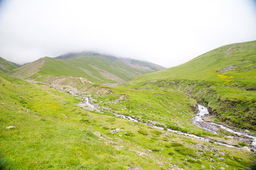 Similar image 11171920