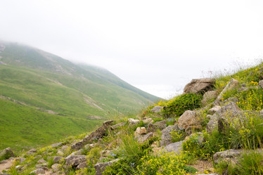 Similar image 11172074