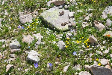 Similar image 11172257