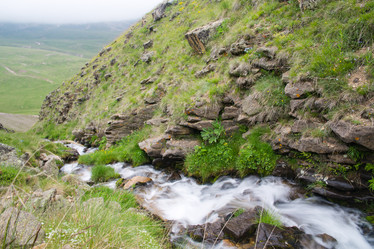 Similar image 11172271