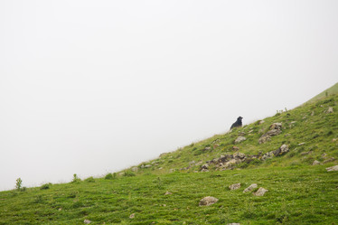 Similar image 11172401