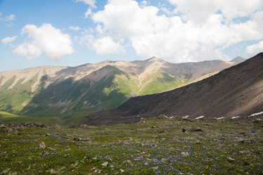 Similar image 11172430