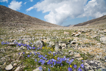 Similar image 11174266