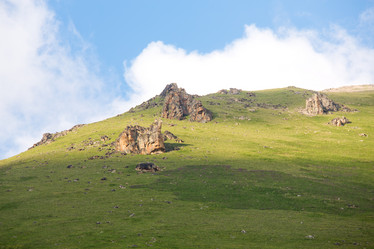 Similar image 11174268