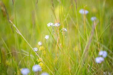 Similar image 11174269