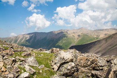 Similar image 11174306