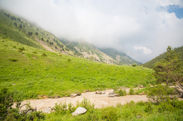 Similar image 11174516