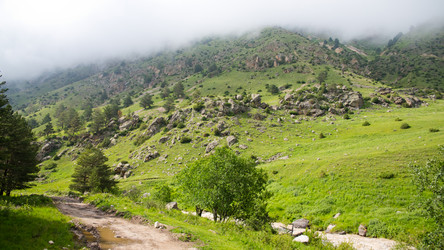 Similar image 11174518