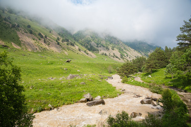 Similar image 11174523