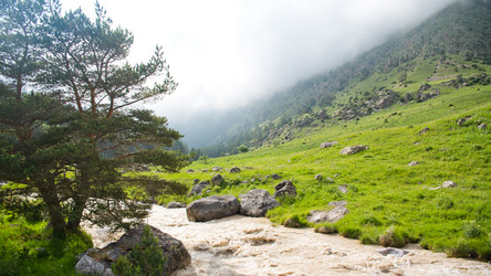 Similar image 11174526