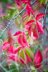 Similar image 11174536