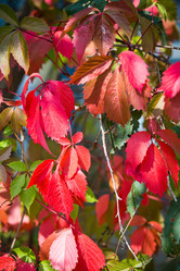 Similar image 11172690