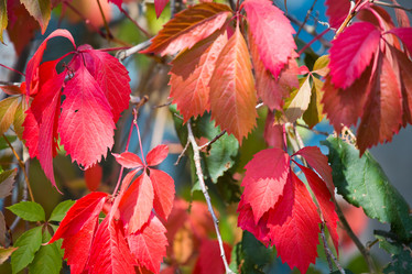 Similar image 11172695