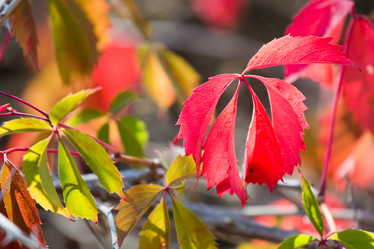 Similar image 11172698