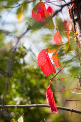 Similar image 11172703