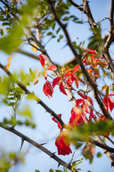 Similar image 11172705