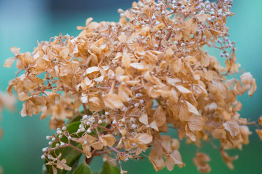 Similar image 11174604