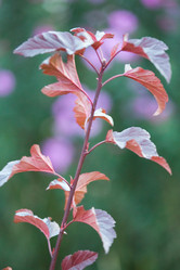 Similar image 11174607