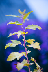 Similar image 11174609