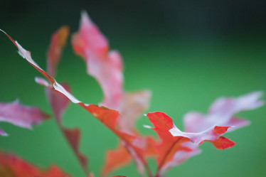 Similar image 11174611