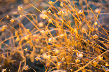 Similar image 11174616