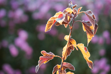 Similar image 11174619