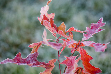 Similar image 11174621