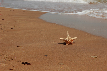 Similar image 11328734