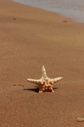 Similar image 11328738