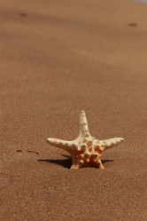 Similar image 11328906