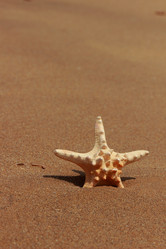 Similar image 11328911