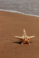 Similar image 11328951