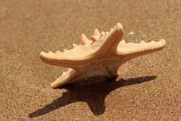 Similar image 11287111