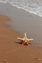 Similar image 11287139