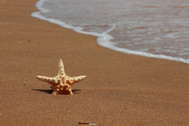 Similar image 11287140