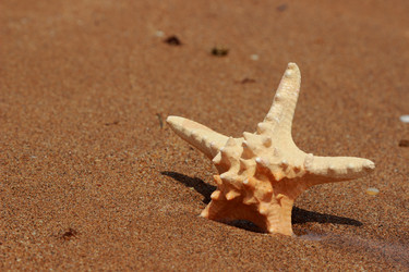 Similar image 11287241