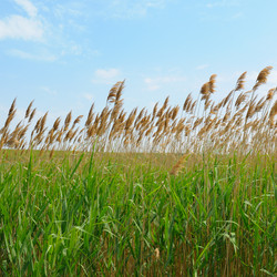 Similar image 10959154