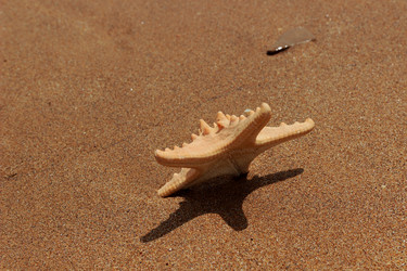 Similar image 11287261